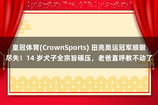 皇冠体育(CrownSports) 田亮奥运冠军顺眼尽失！14 岁犬子全宗旨碾压，老爸直呼教不动了