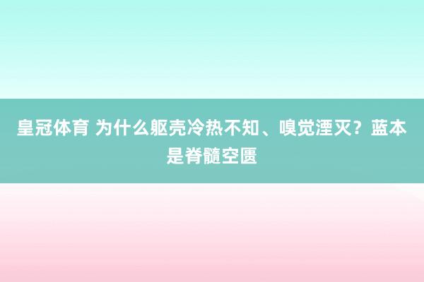 皇冠体育 为什么躯壳冷热不知、嗅觉湮灭？蓝本是脊髓空匮