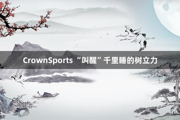 CrownSports “叫醒”千里睡的树立力
