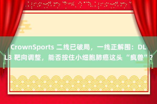 CrownSports 二线已破局，一线正解围：DLL3 靶向调整，能否按住小细胞肺癌这头 “疯兽”？